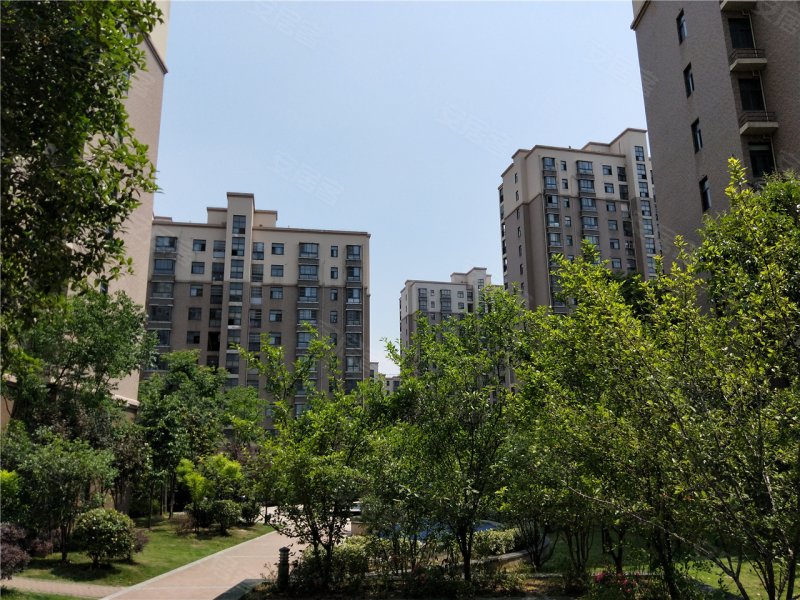 六安新城春天-实景图(19) - 六安安居客