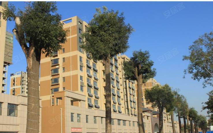 淄博东城华府·海棠湾-实景图(44) - 淄博安居客