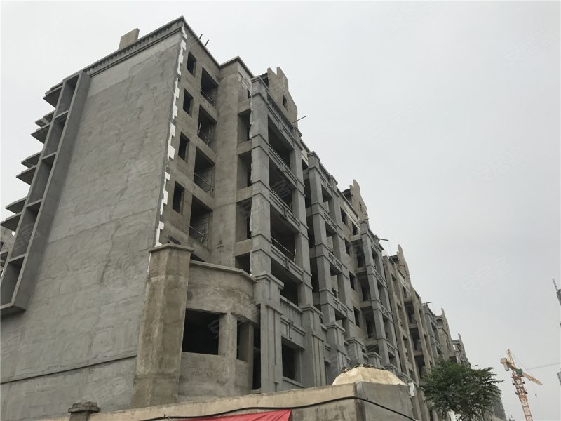 开封香樟公馆-实景图(15) - 开封安居客