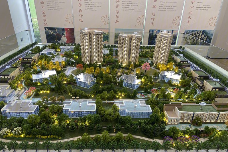 成都天府未来城-沙盘图(55) - 成都安居客