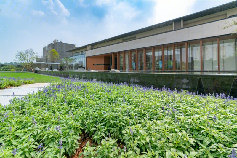 广州楼盘 花都楼盘 新机场楼盘 奥园誉湖湾