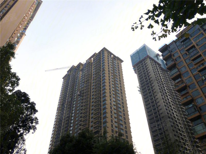 成都华侨城九熙-实景图(22) - 成都安居客
