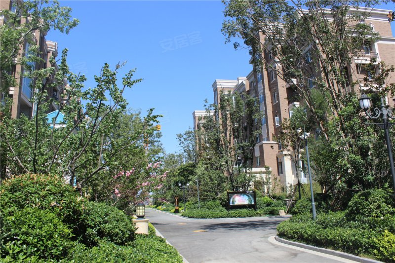 焦作东方今典境界-实景图(14) - 焦作安居客