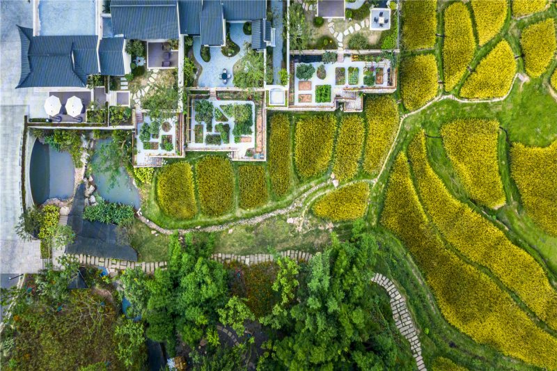 重庆蓝城两江田园牧歌-实景图(7) - 重庆安居客