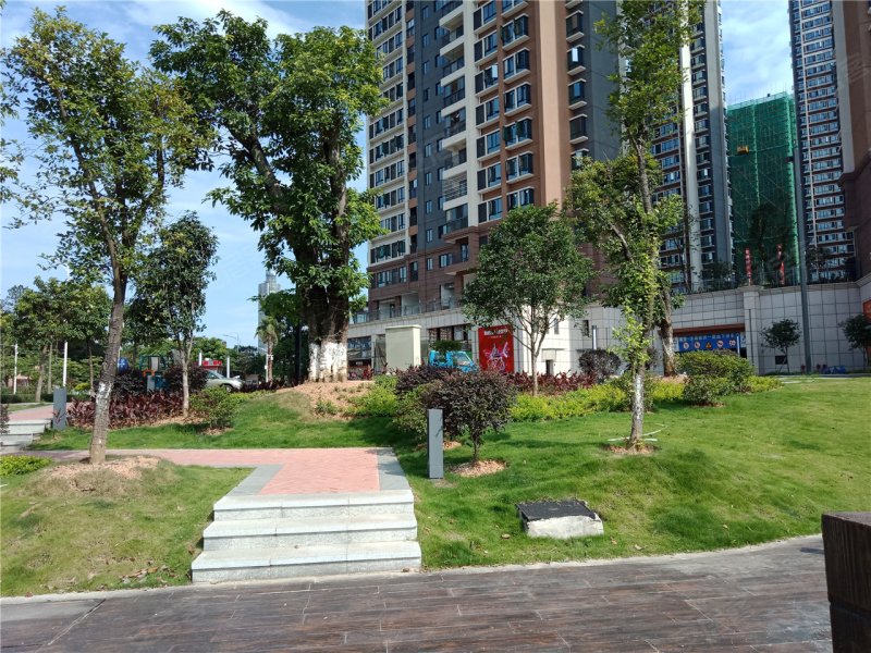 韶关沙湖绿洲-实景图(33) - 韶关安居客