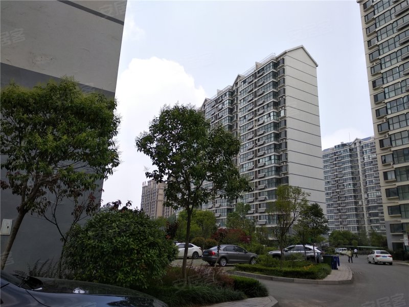 日照京泰盘龙湾-实景图(20) - 日照安居客