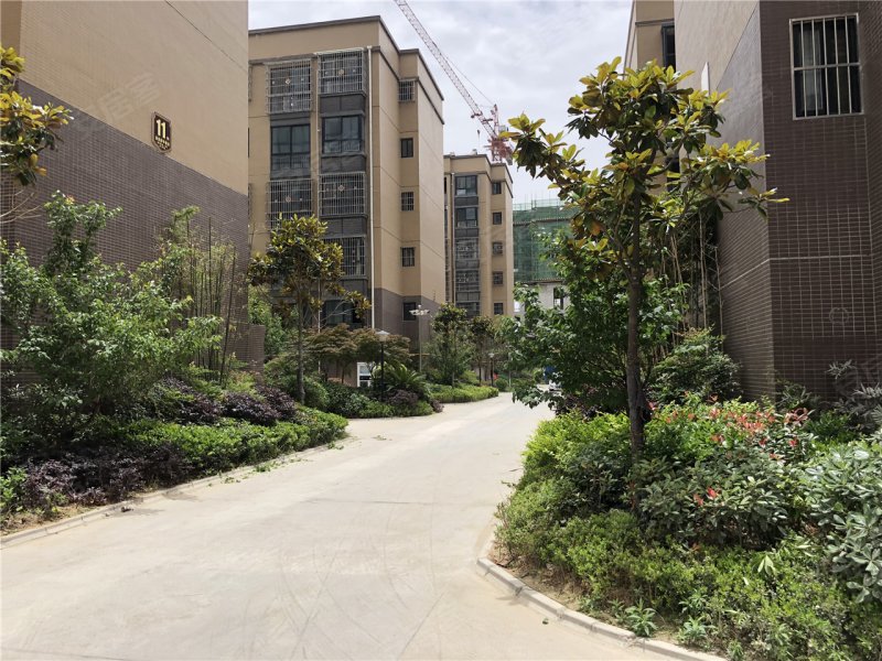 汉中恒基馨城小区-实景图(13) - 汉中安居客
