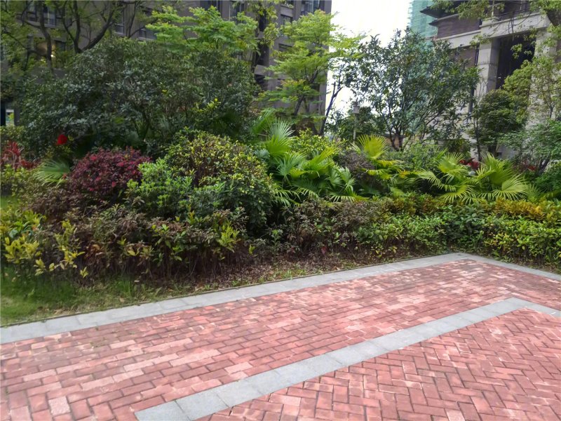 龙岩中航紫金云熙-实景图(24) - 龙岩安居客
