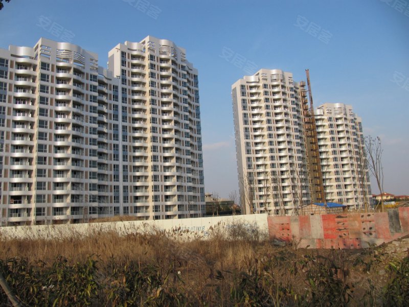 上海棕榈滩海景城-实景图(10) - 上海安居客