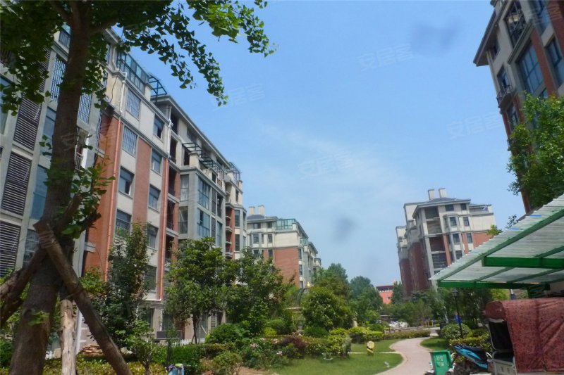 周口金域华庭-实景图(14) - 周口安居客