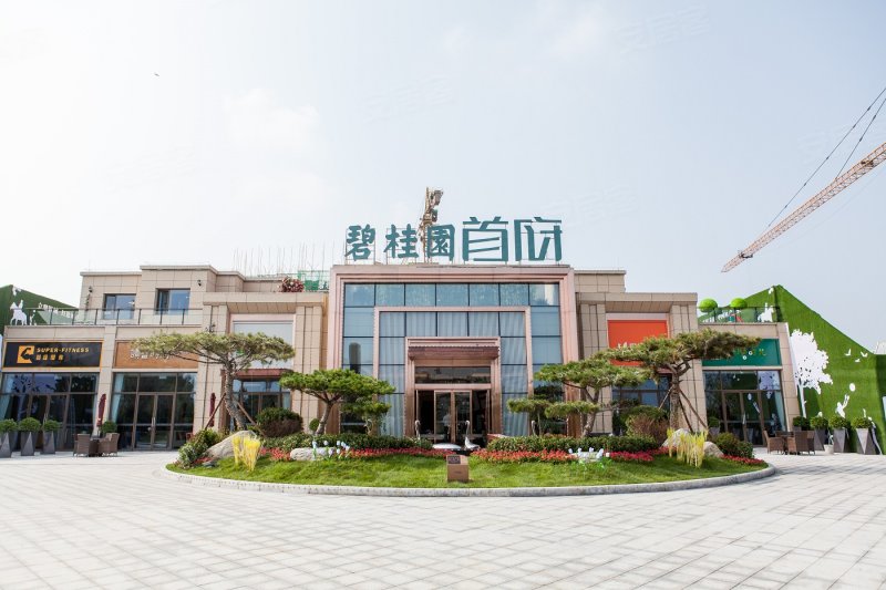 邢台临城碧桂园首府-实景图(3) - 邢台安居客