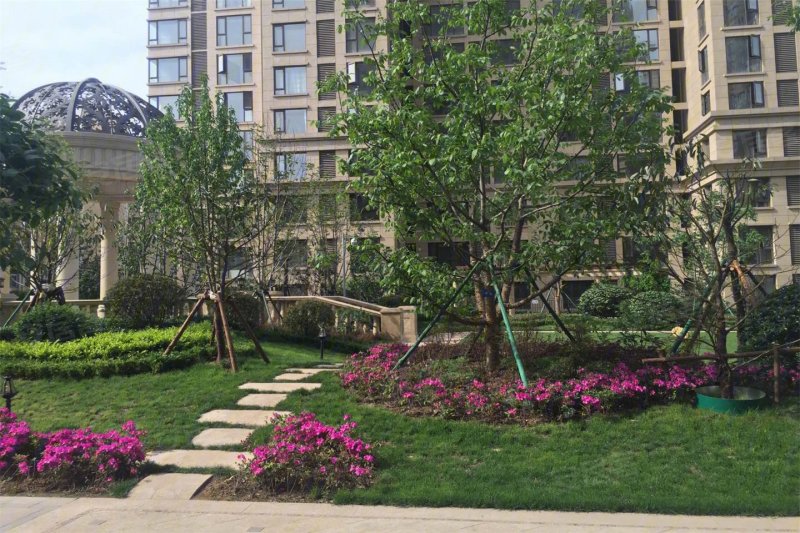 平顶山檀宫二期-实景图(18) - 平顶山安居客