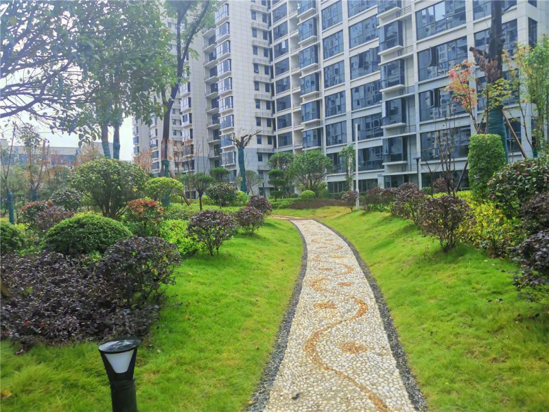 张家界金色家园-实景图(12) - 张家界安居客