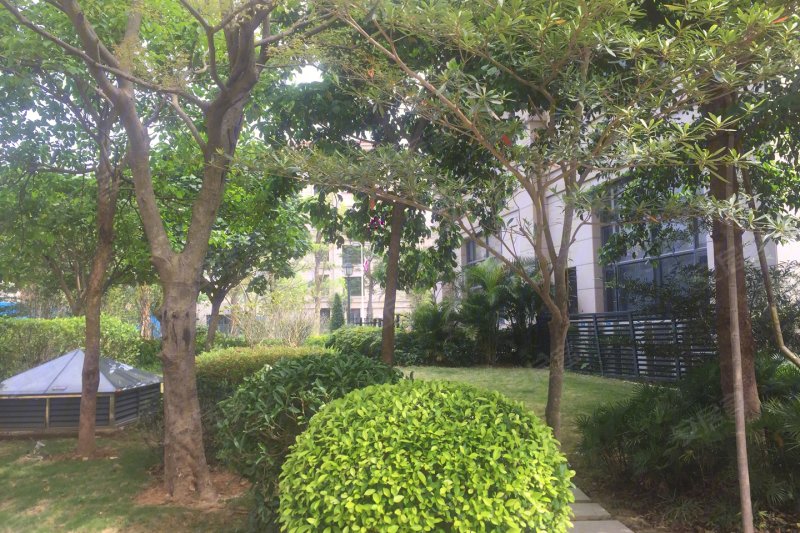 金盛丽景花园实景图