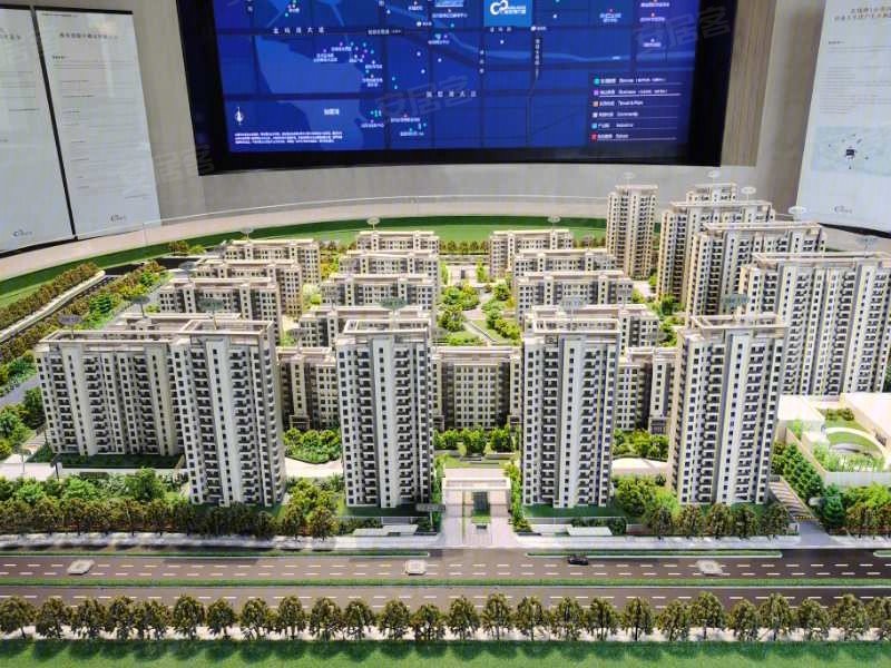 苏州仁恒海和云庭-沙盘图(43) - 苏州安居客