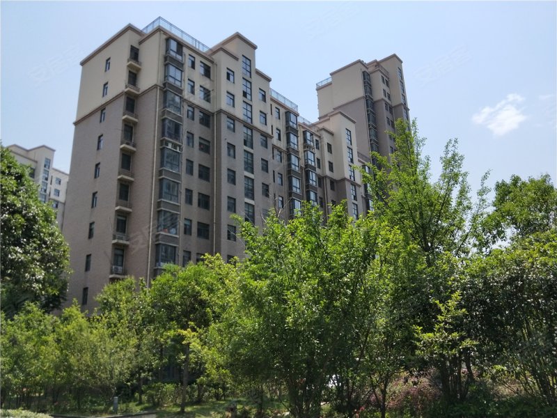 六安新城春天-实景图(24) - 六安安居客