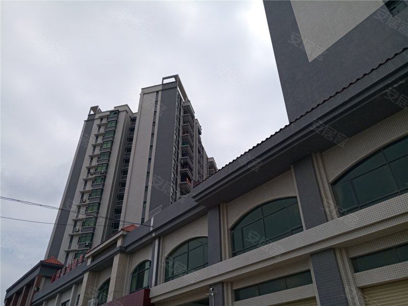 台山龙腾豪园-实景图(2) - 台山安居客