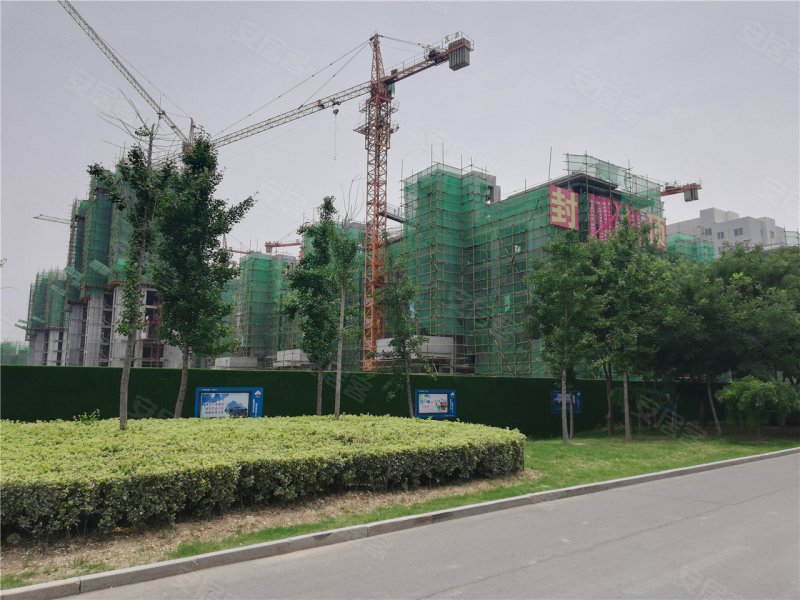 济宁楼盘 金乡楼盘 绿郡公馆