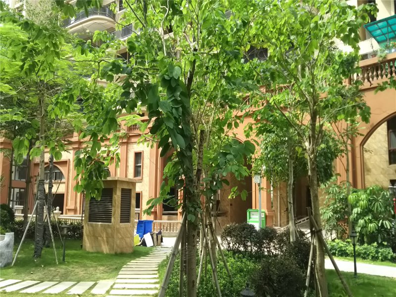 汕头金信凤凰花园