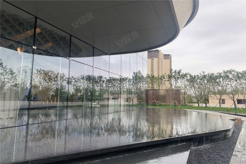 西安白桦林漫步-实景图(8) - 西安安居客