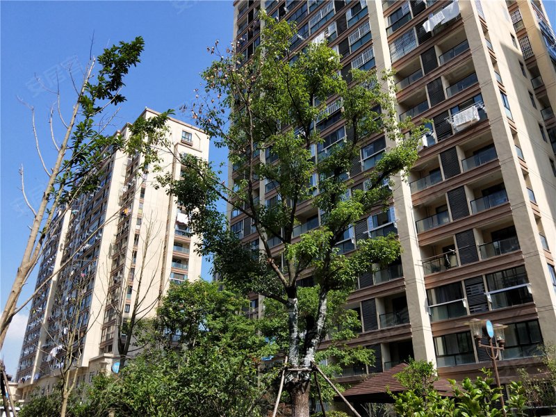 宣城盛世御景-实景图(18) - 宣城安居客