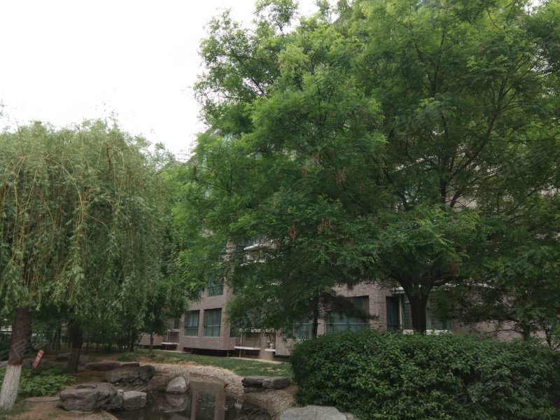 唐山左岸景林-实景图(29) - 唐山安居客