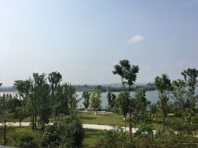 遂宁山屿湖实景图片