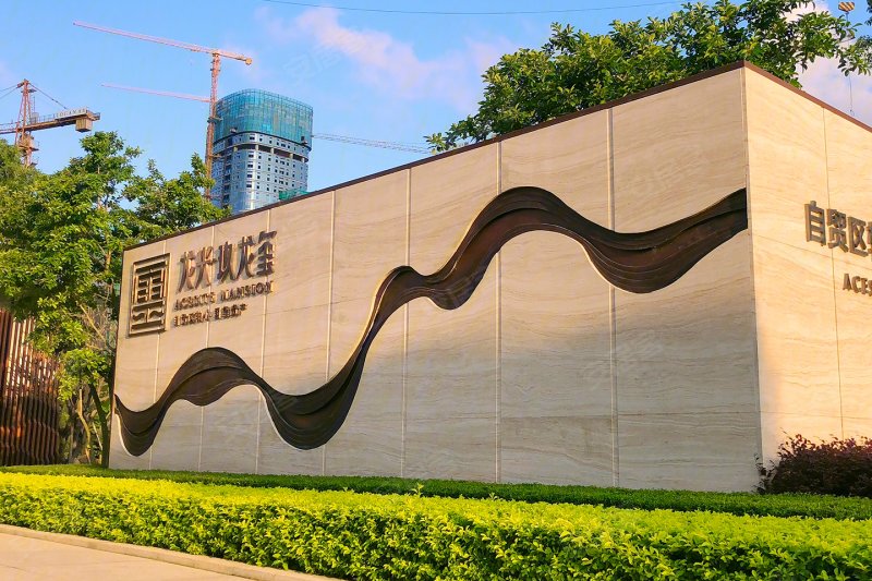 龙光玖龙玺