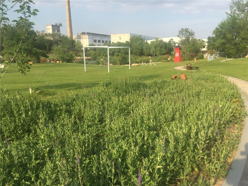 招远华盈尚景-实景图(11) - 招远安居客