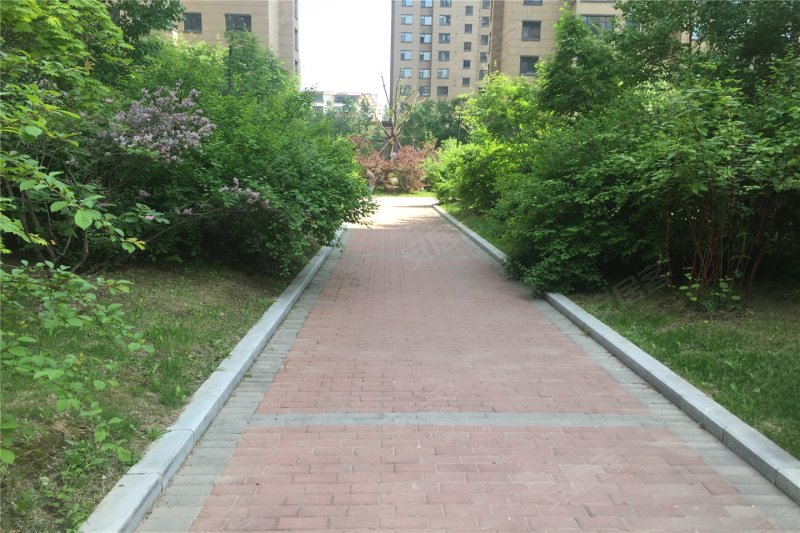通化丽景人家三期-效果图(40) - 通化安居客