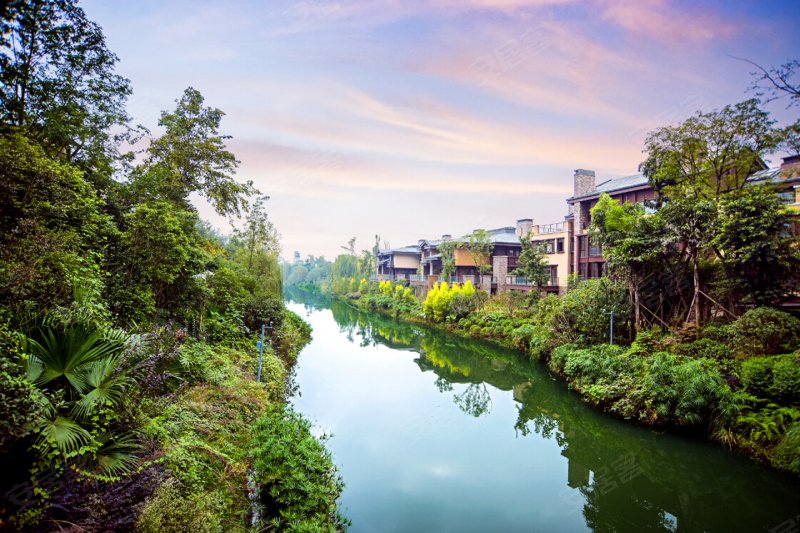 成都华侨城天澜-实景图(15) - 成都安居客