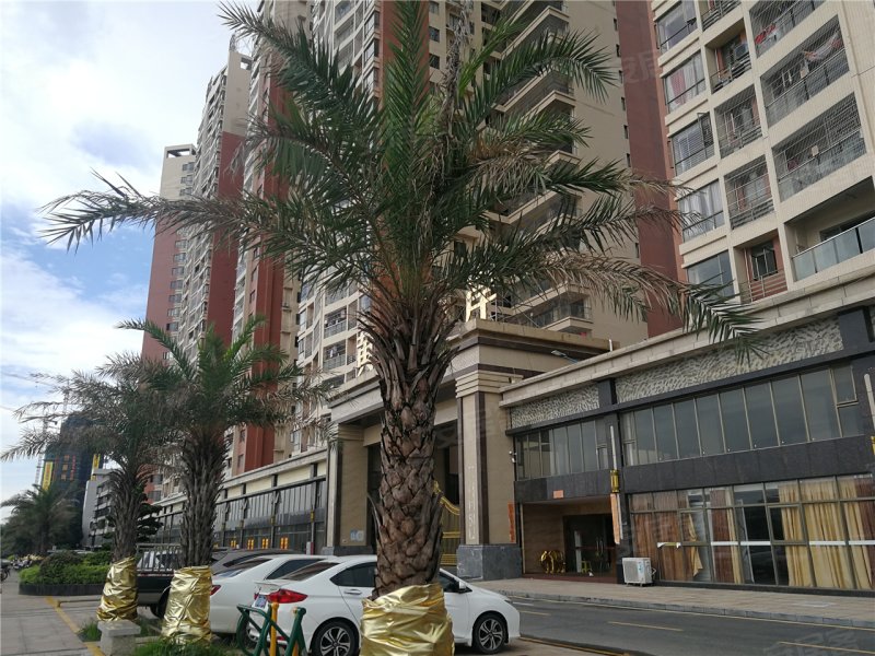 开平侨园黄金海岸-实景图(34) - 开平安居客