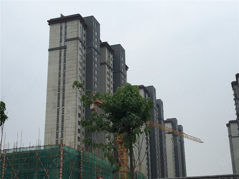 汝州万基名家-实景图(20) - 汝州安居客