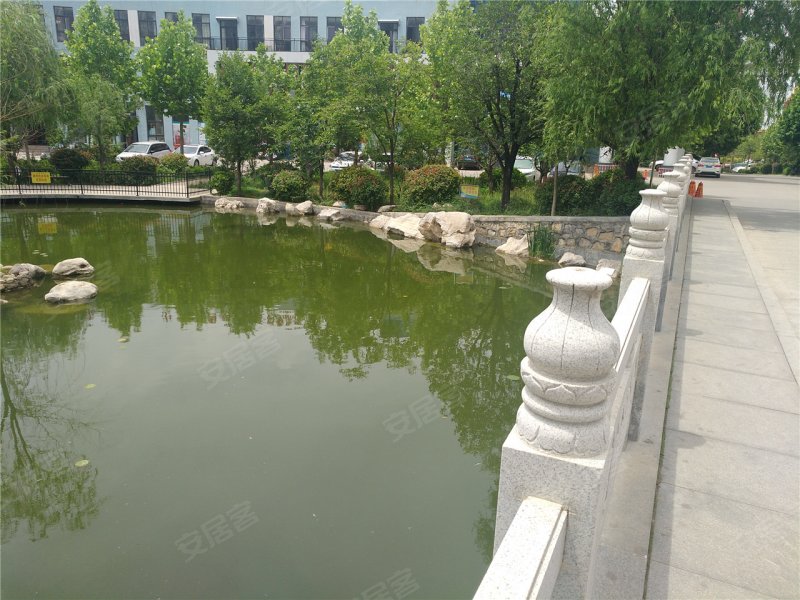 肥城山水名园-实景图(11) - 肥城安居客