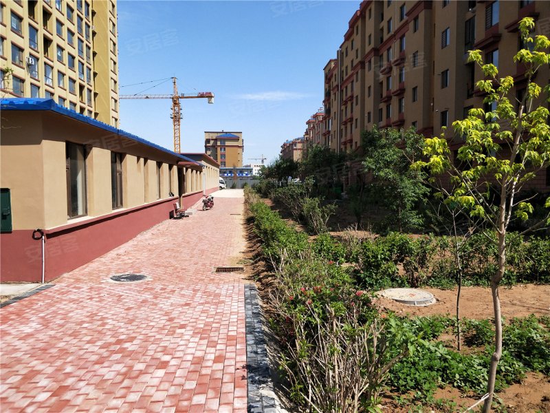 葫芦岛格林小镇-实景图(29) - 葫芦岛安居客