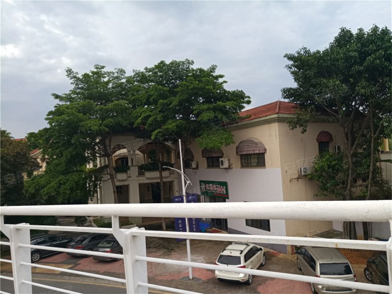 韶关龙洲岛映月-实景图(33) - 韶关安居客