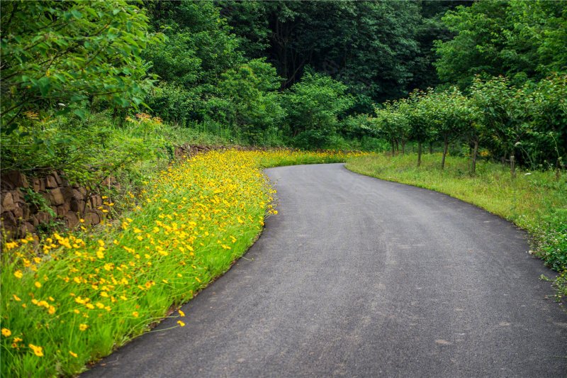 合肥鹭山湖-实景图(19) - 合肥安居客