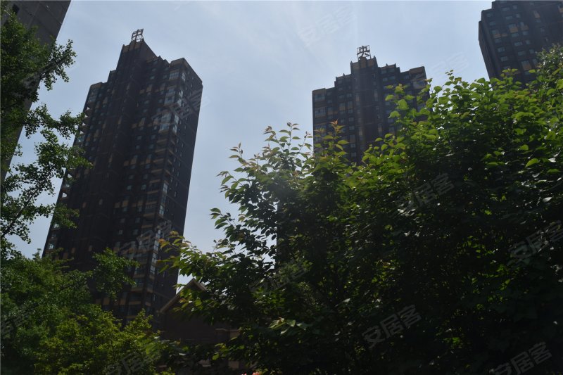 漯河泰威中央公园-实景图(30) - 漯河安居客
