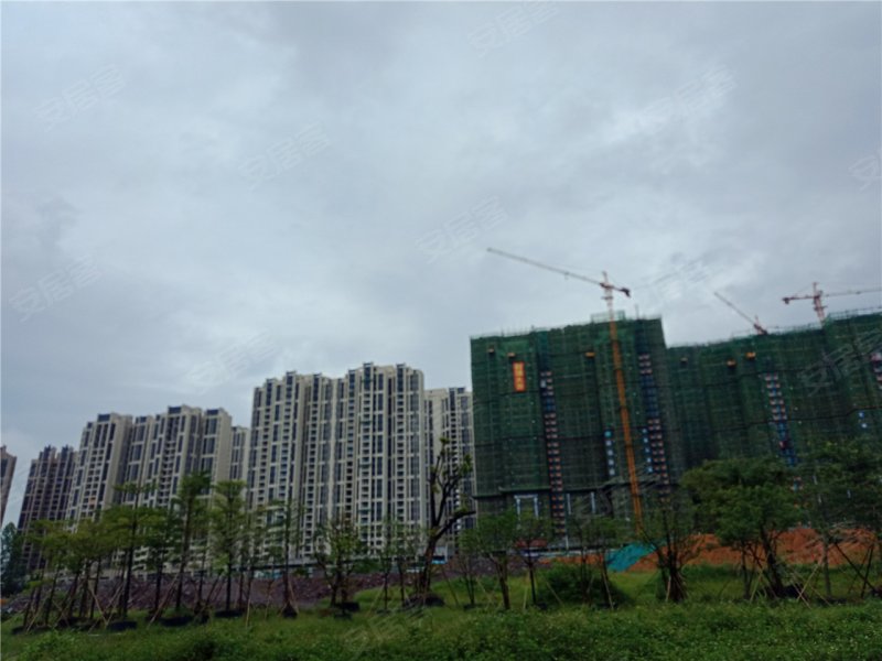 恩平幸福金岸花园-实景图(6) - 恩平安居客