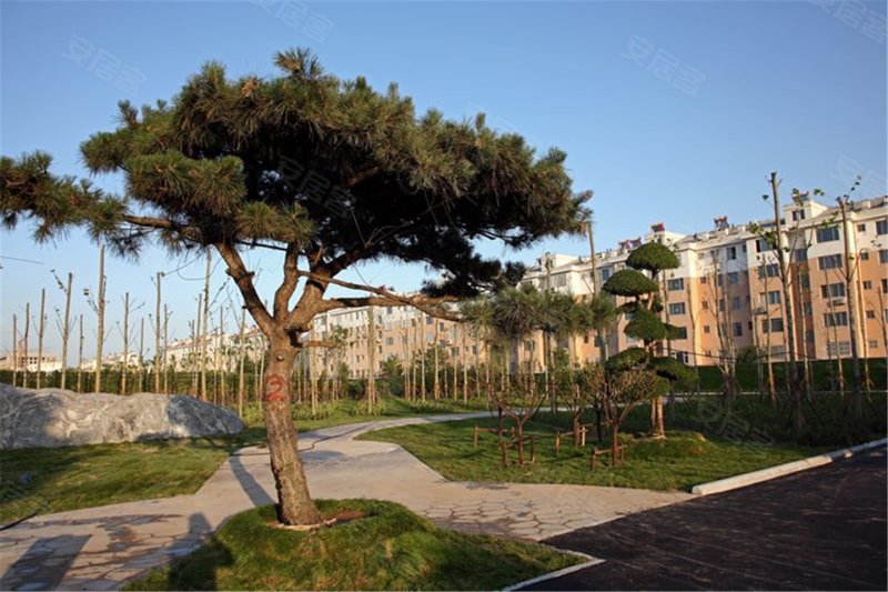 滨州惠众·丽景国际-实景图(2) - 滨州安居客