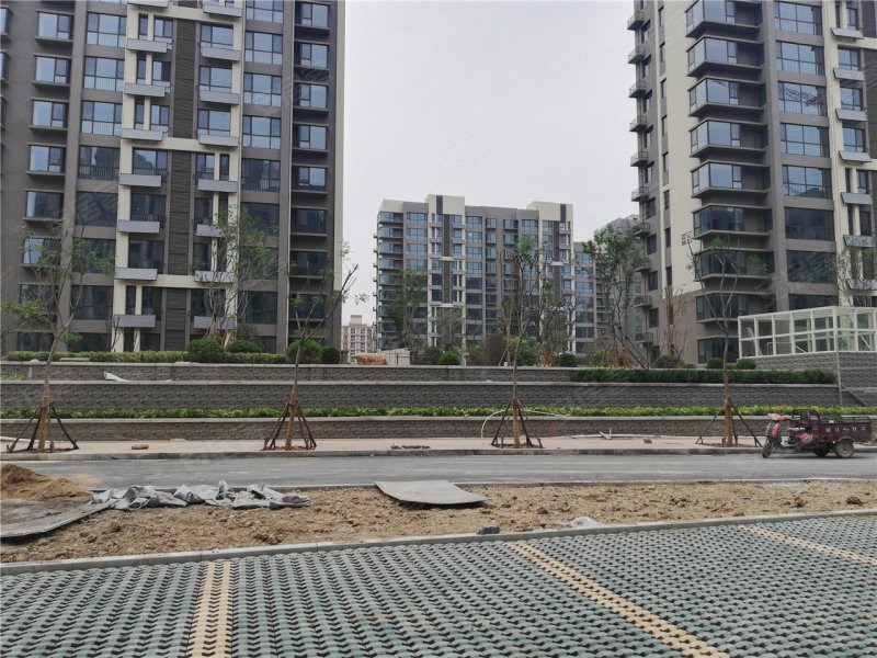 济宁楼盘 嘉祥楼盘 文苑雅居