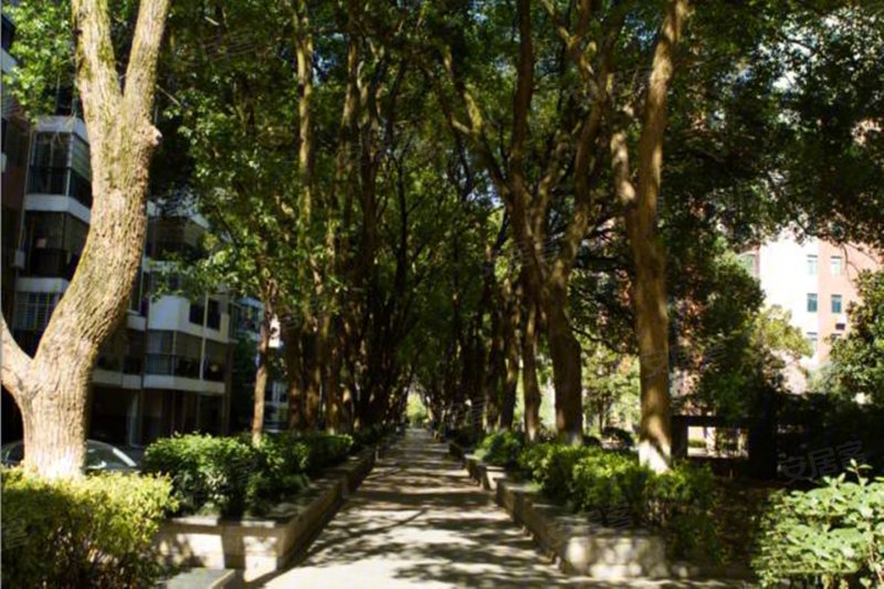 香樟绿城效果图