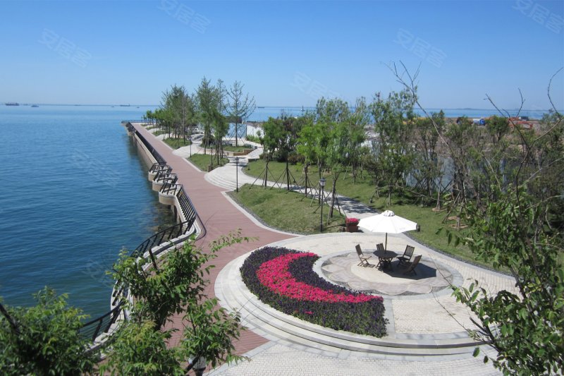 青岛金茂湾-实景图(7) - 青岛安居客