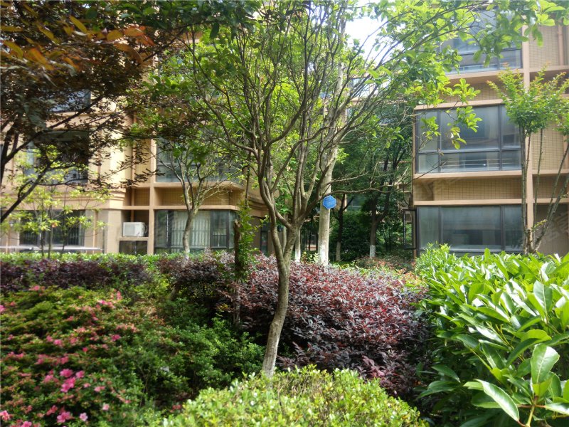 新余香山听泉-实景图(24) - 新余安居客