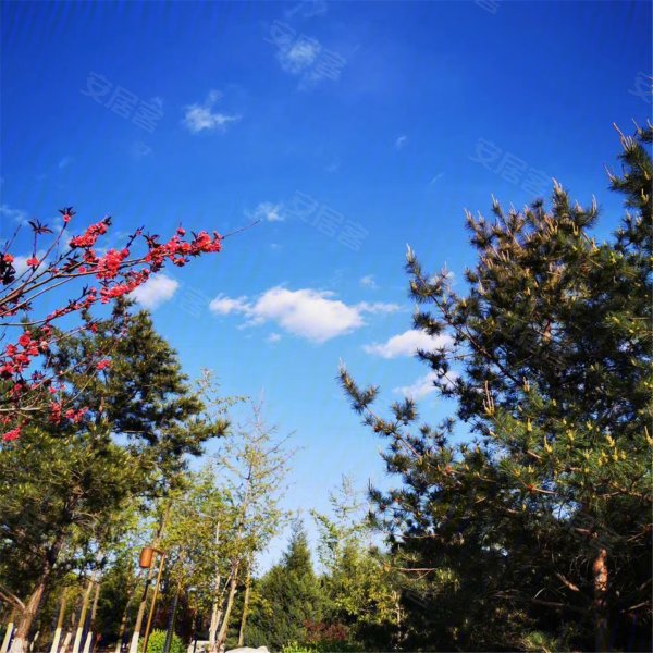 唐山南湖中央广场丨悦府-配套图(13) - 唐山安居客