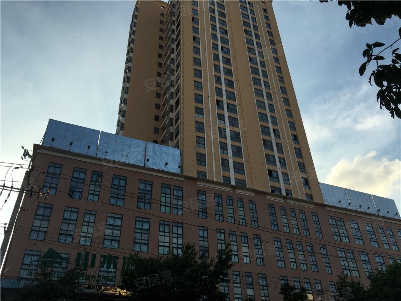 咸宁长安花苑-实景图(33) - 咸宁安居客