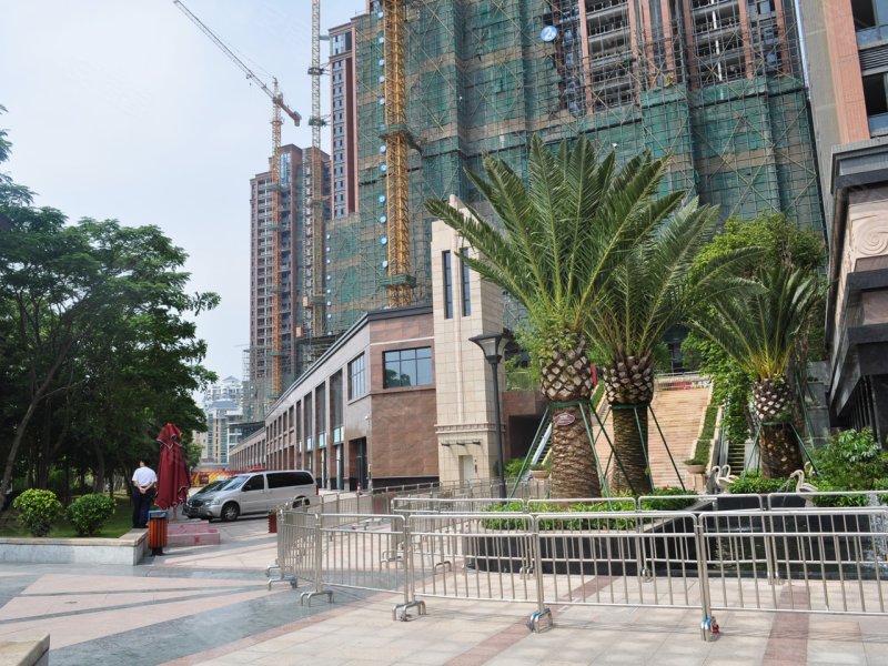 中粮鸿云花园实景图