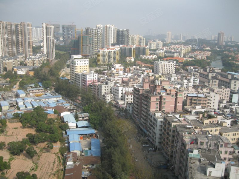 深圳侨城馨苑-配套图(68) - 深圳安居客