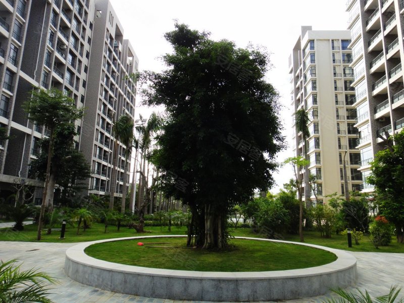 三亚泰和花园-实景图(8) - 三亚安居客