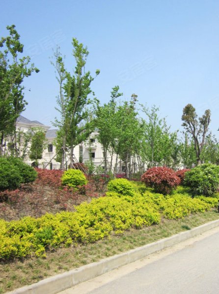 塞纳庄园实景图